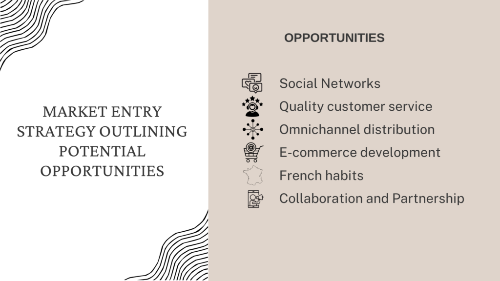 Market entry strategy outlining potential opportunities